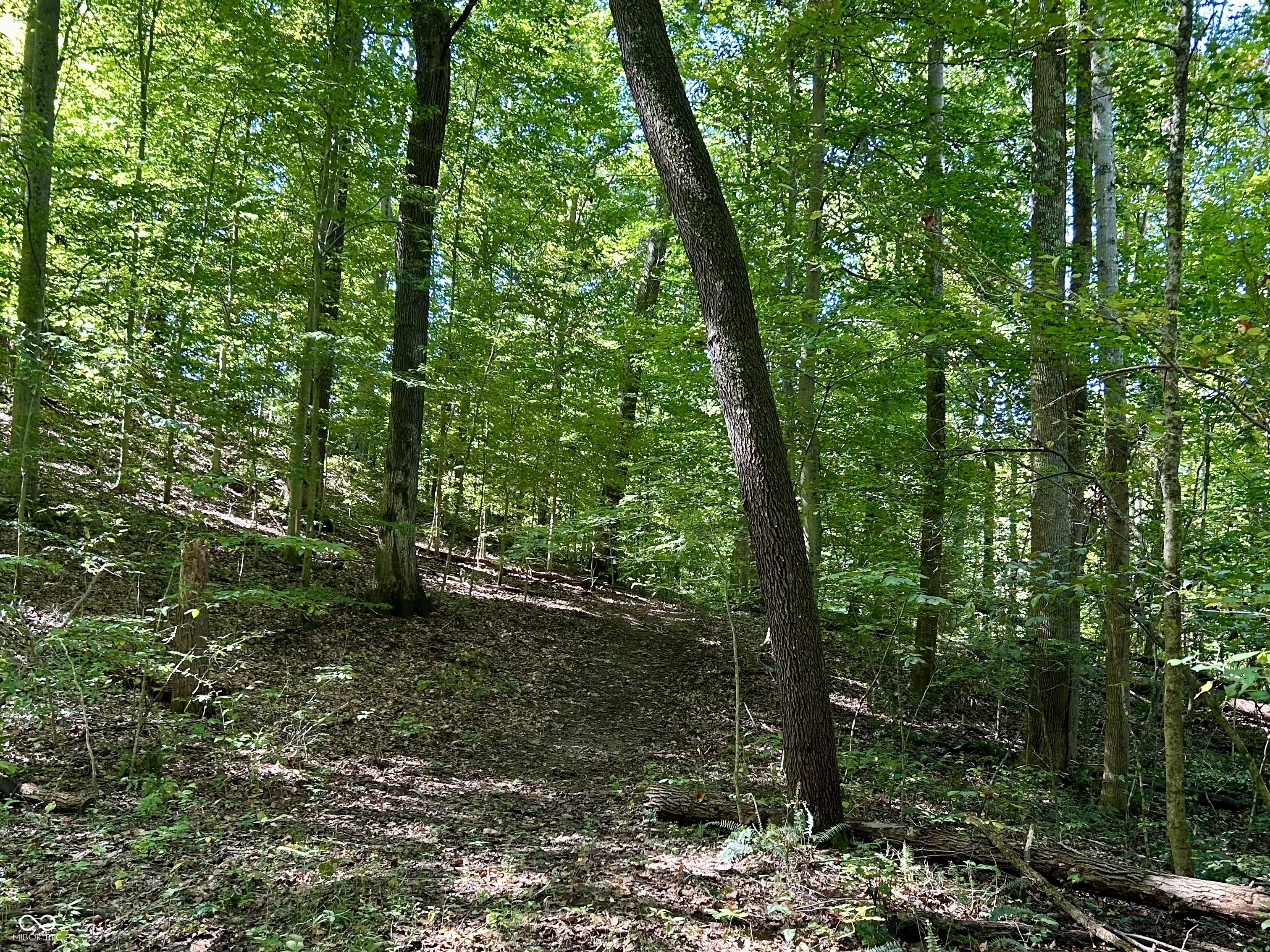 2495 Lenvoil Road Martinsville, IN 46151 - Photo 83 of 93