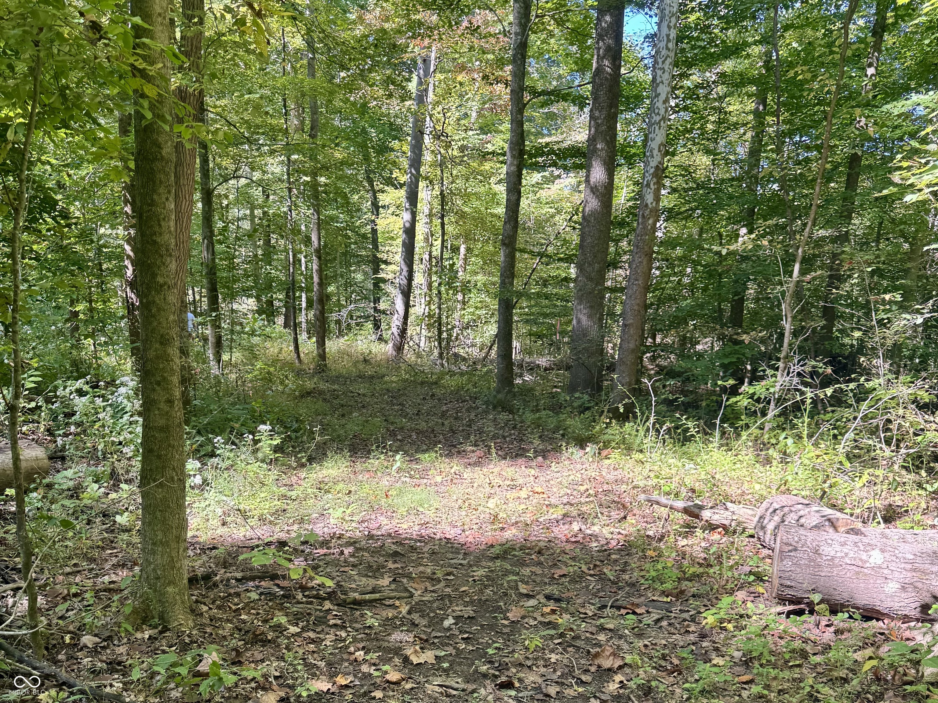 2495 Lenvoil Road Martinsville, IN 46151 - Photo 84 of 93