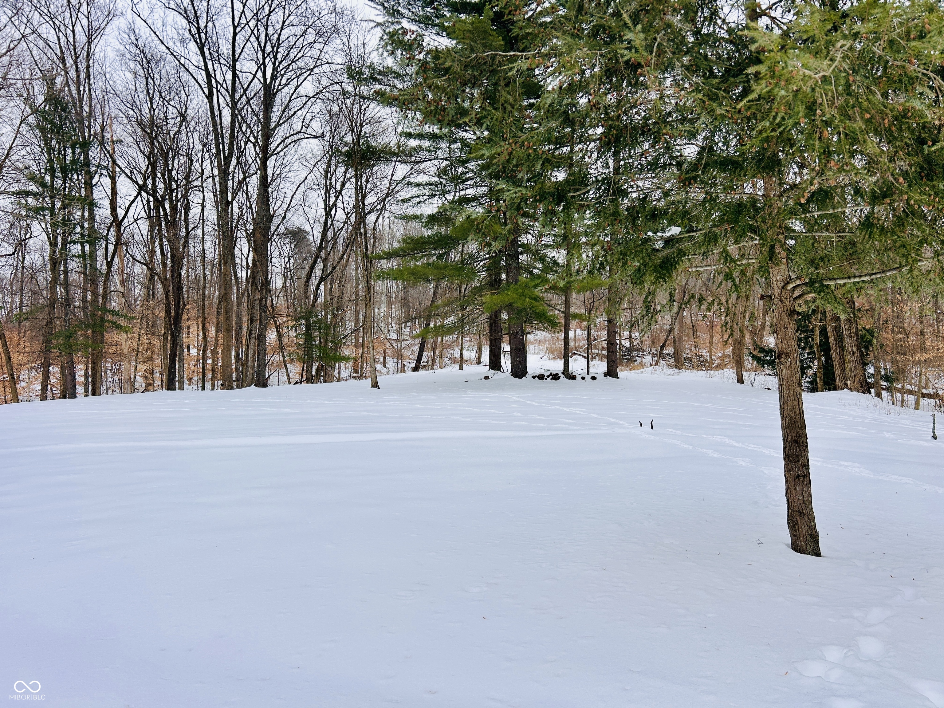 2495 Lenvoil Road Martinsville, IN 46151 - Photo 90 of 93