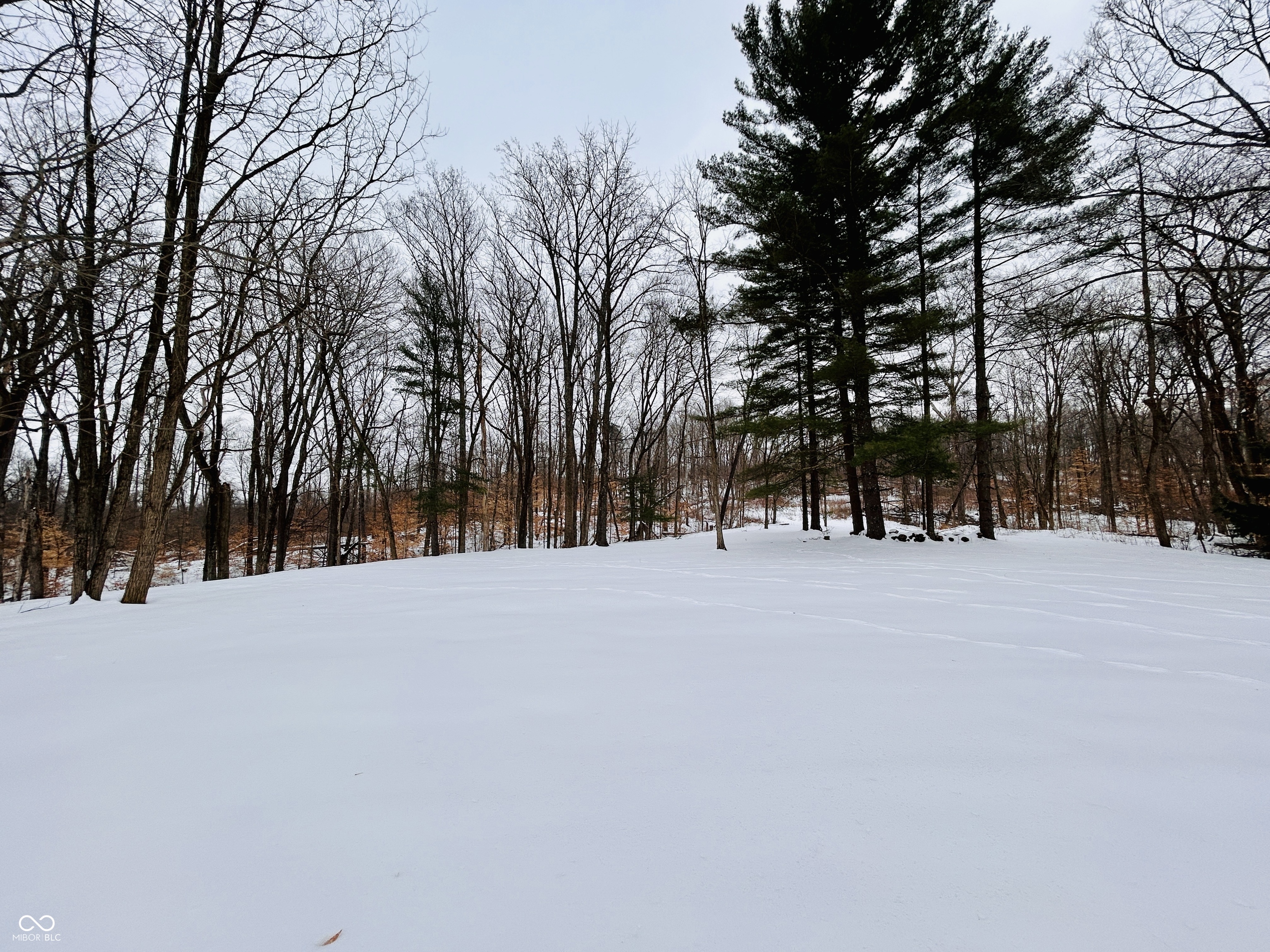 2495 Lenvoil Road Martinsville, IN 46151 - Photo 91 of 93