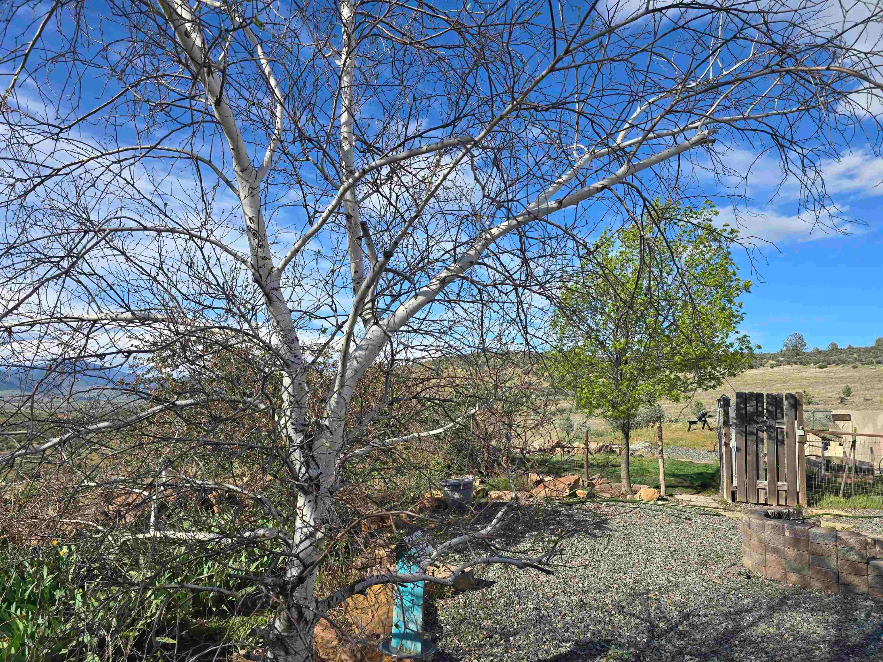 3820 High Road Montague, CA 96064 - Photo 36 of 36 Gallery Image 36
