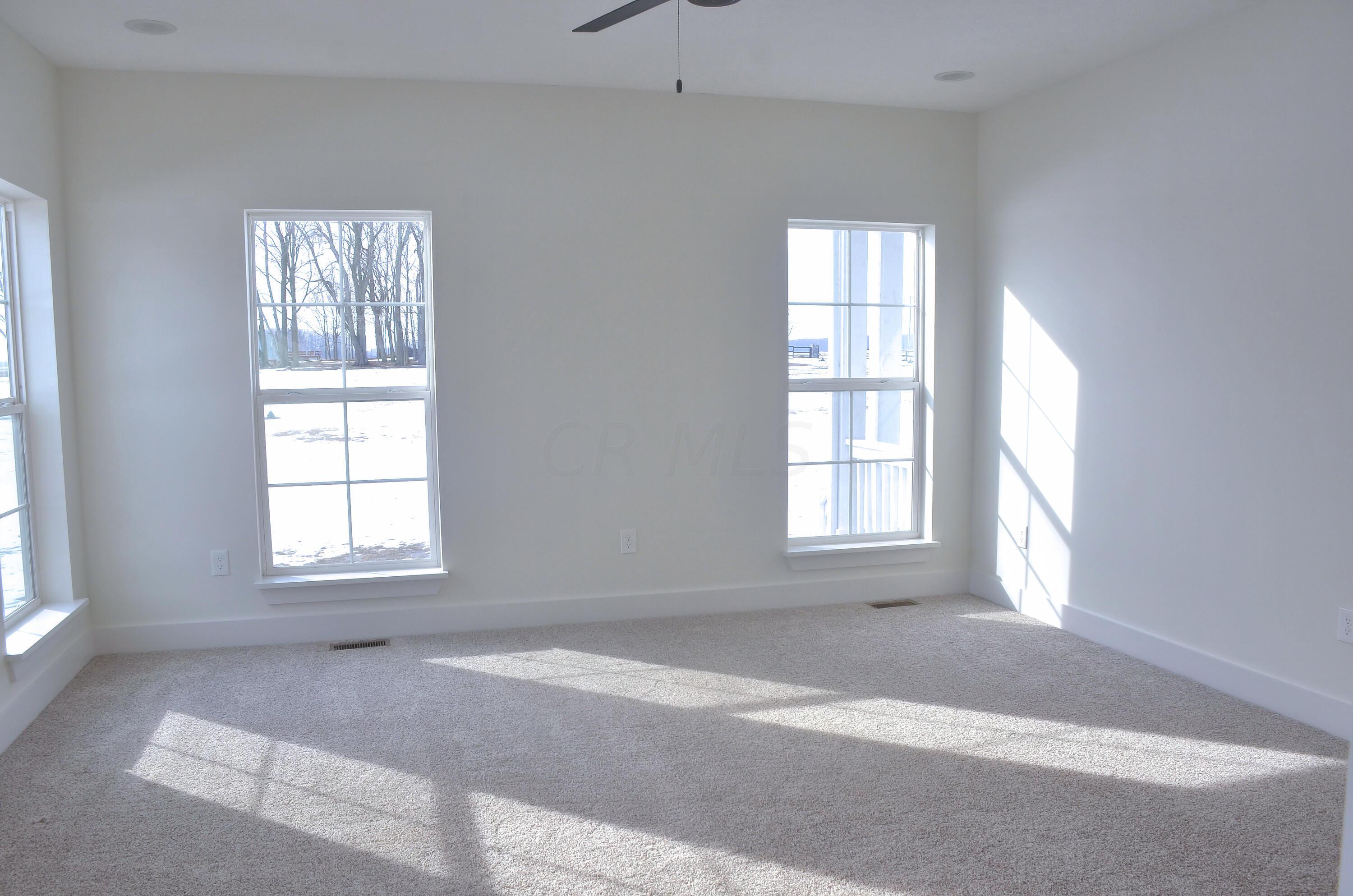 24575 Patrick-Brush Run Road Marysville, OH 43040 - Photo 40 of 99 1st floor owner's suite 2
