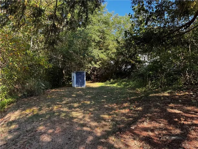a view of a yard with plants and trees