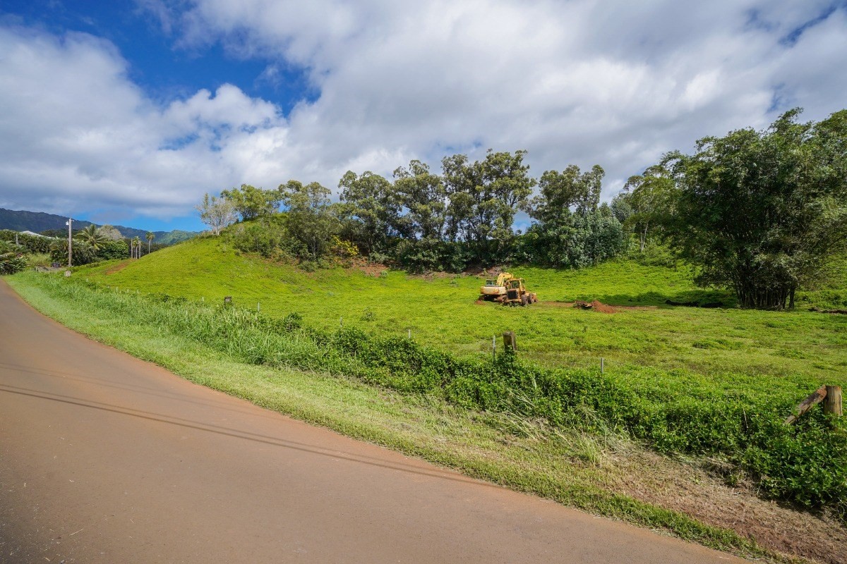 Kipapa Road, Unit 3 Kapaa, HI 96746 - Photo 3 of 23