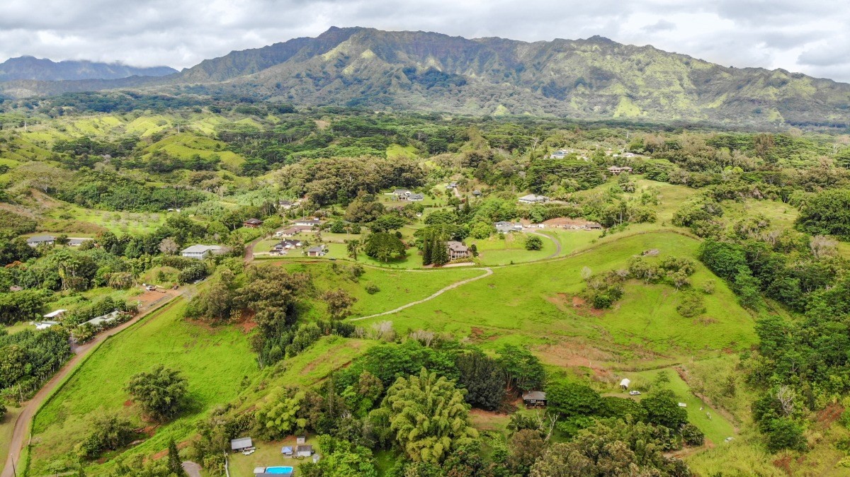 Kipapa Road, Unit 3 Kapaa, HI 96746 - Photo 7 of 23