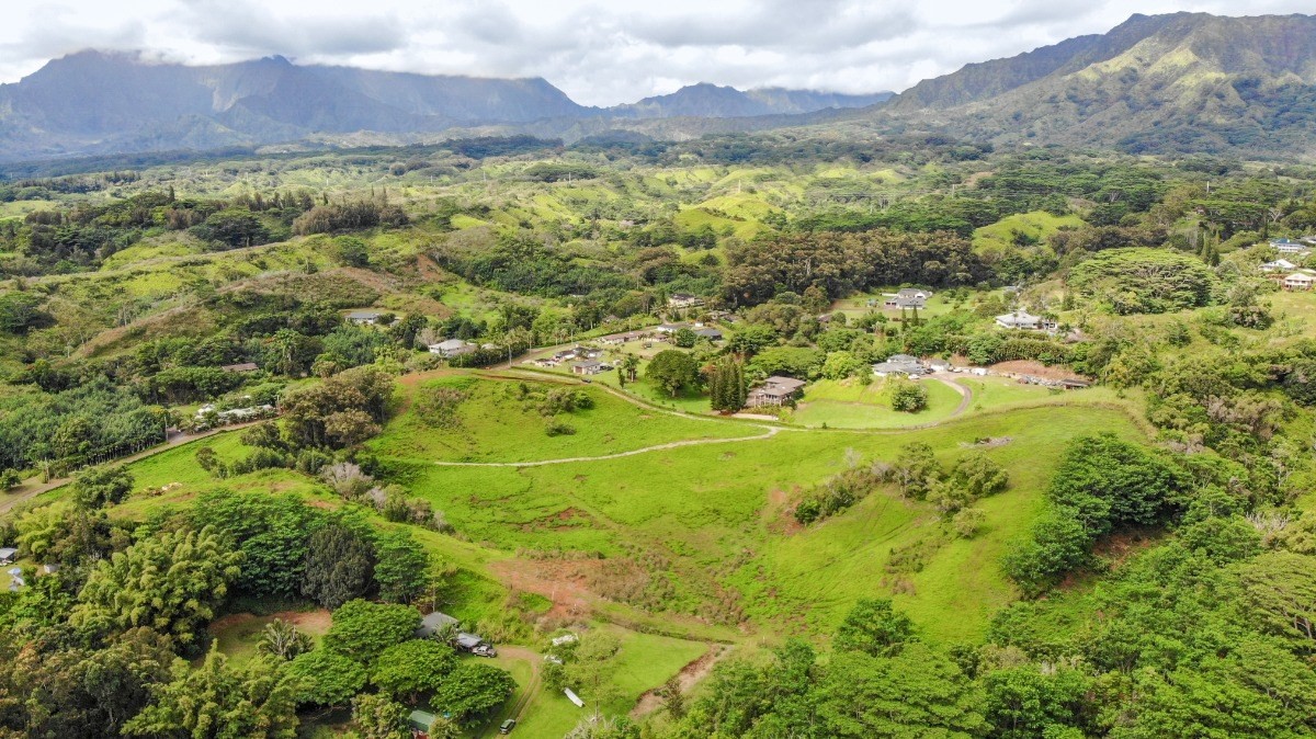 Kipapa Road, Unit 3 Kapaa, HI 96746 - Photo 8 of 23