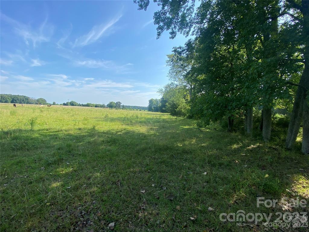 1283 Williamsville Church Road Chester, SC 29706 - Photo 3 of 17 Gallery Image 3