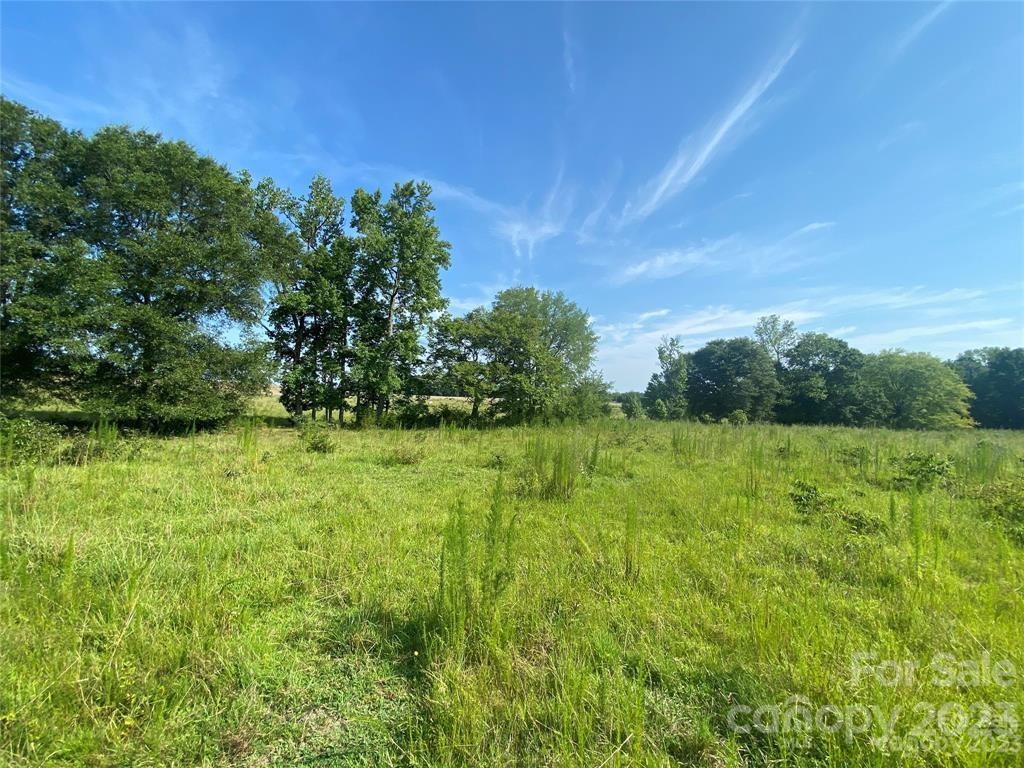 1283 Williamsville Church Road Chester, SC 29706 - Photo 7 of 17 Gallery Image 7