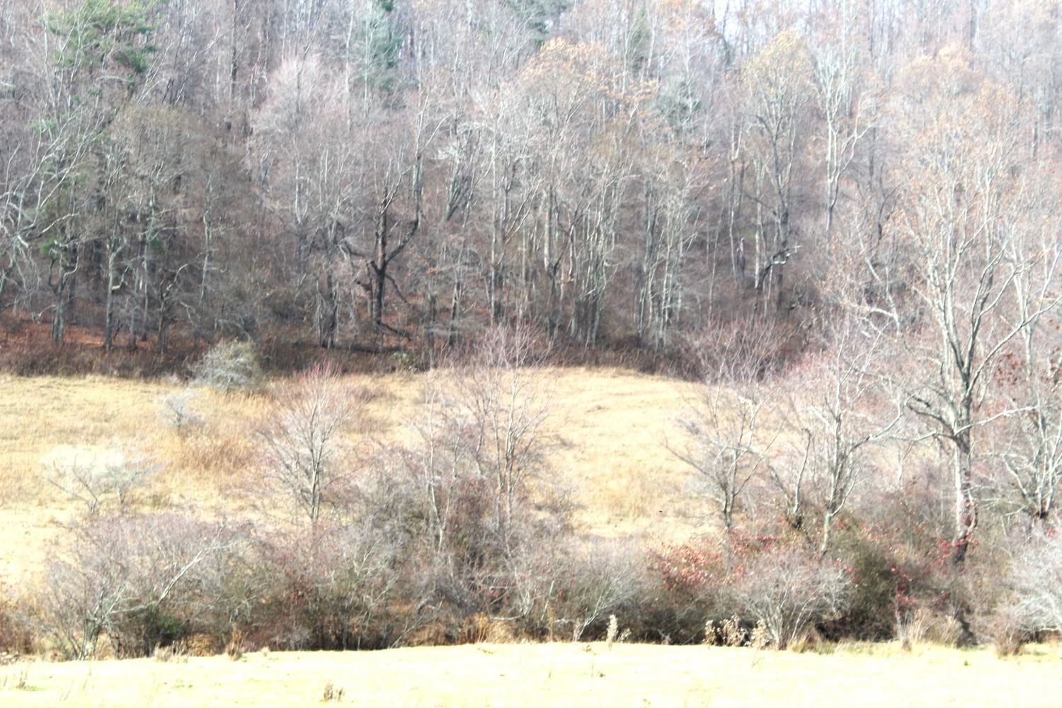 793 Coffeytown Road Vesuvius, VA 24483 - Photo 10 of 11 Gallery Image 10