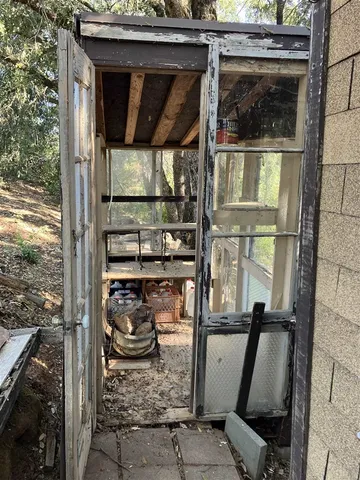 a view of a bunch of trees