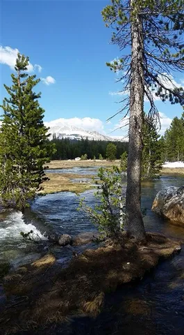 $149,950 | 4720 Carstens Road, Midpines, CA 95345