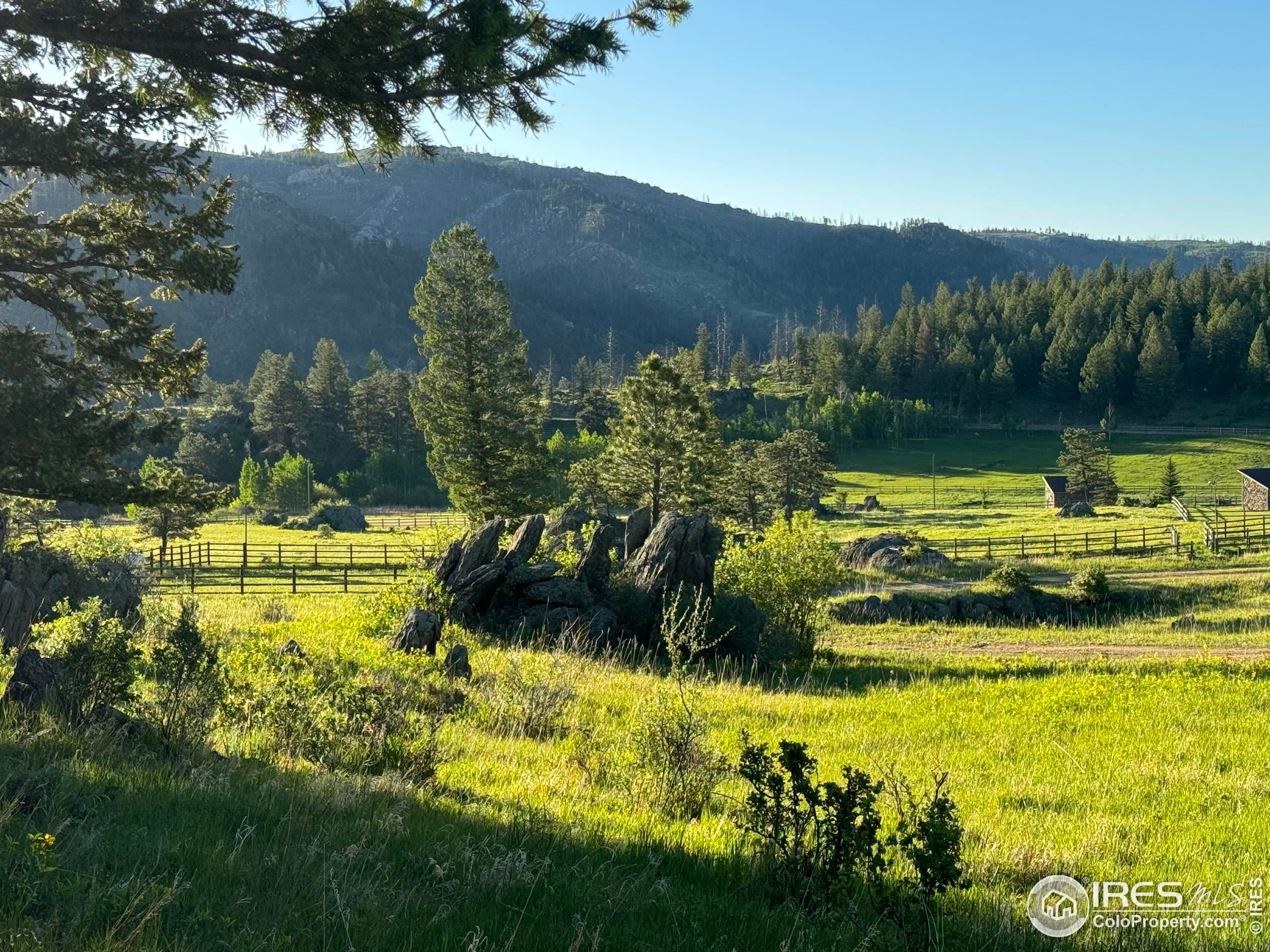 9200 Old Flowers Road Bellvue, CO 80512 - Photo 11 of 50 a view of a swimming pool with a garden