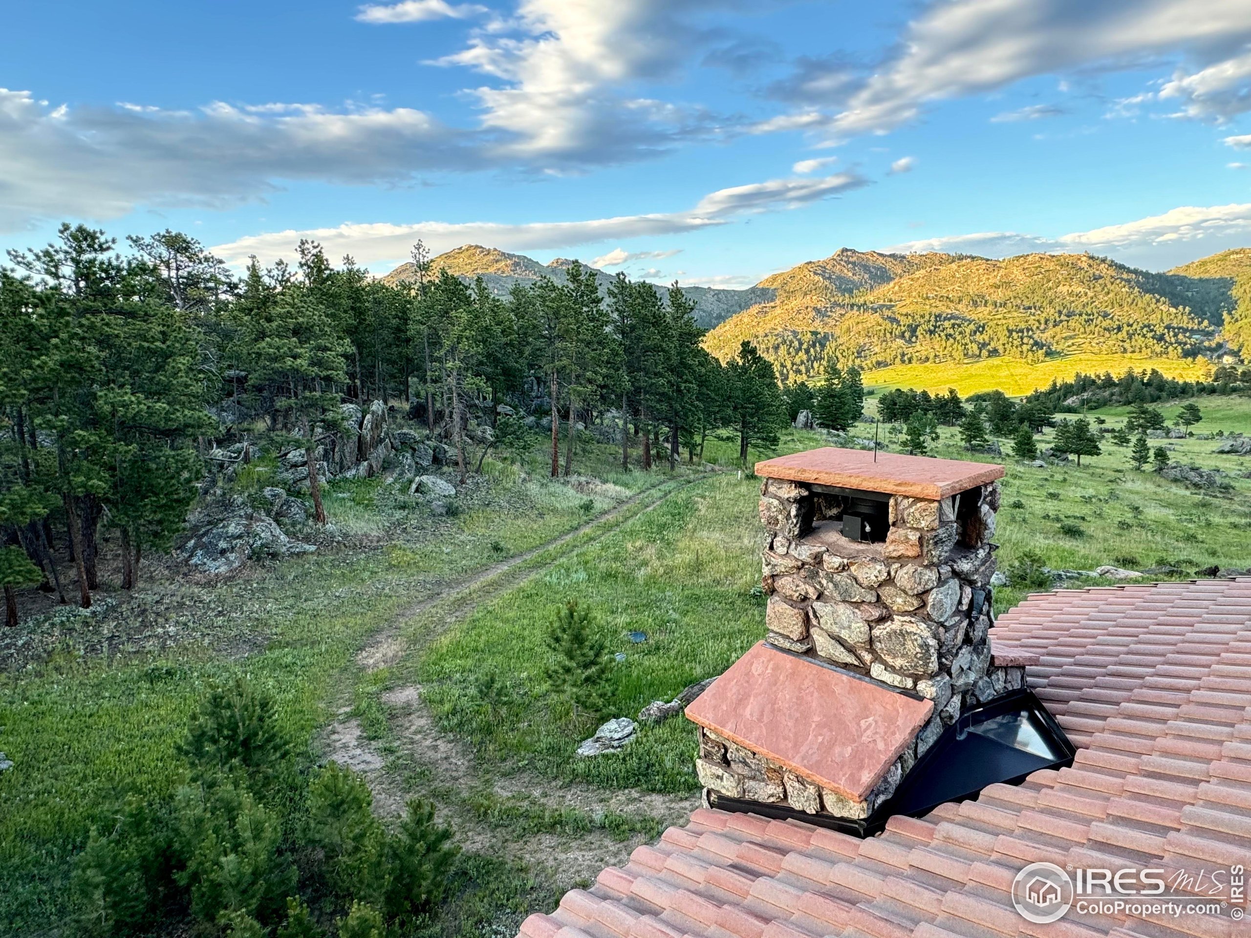 9200 Old Flowers Road Bellvue, CO 80512 - Photo 42 of 50 a view of a yard with furniture and a garden