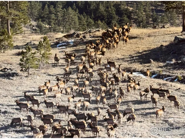 $6,700,000 | 9200 Old Flowers Road, Bellvue, CO 80512