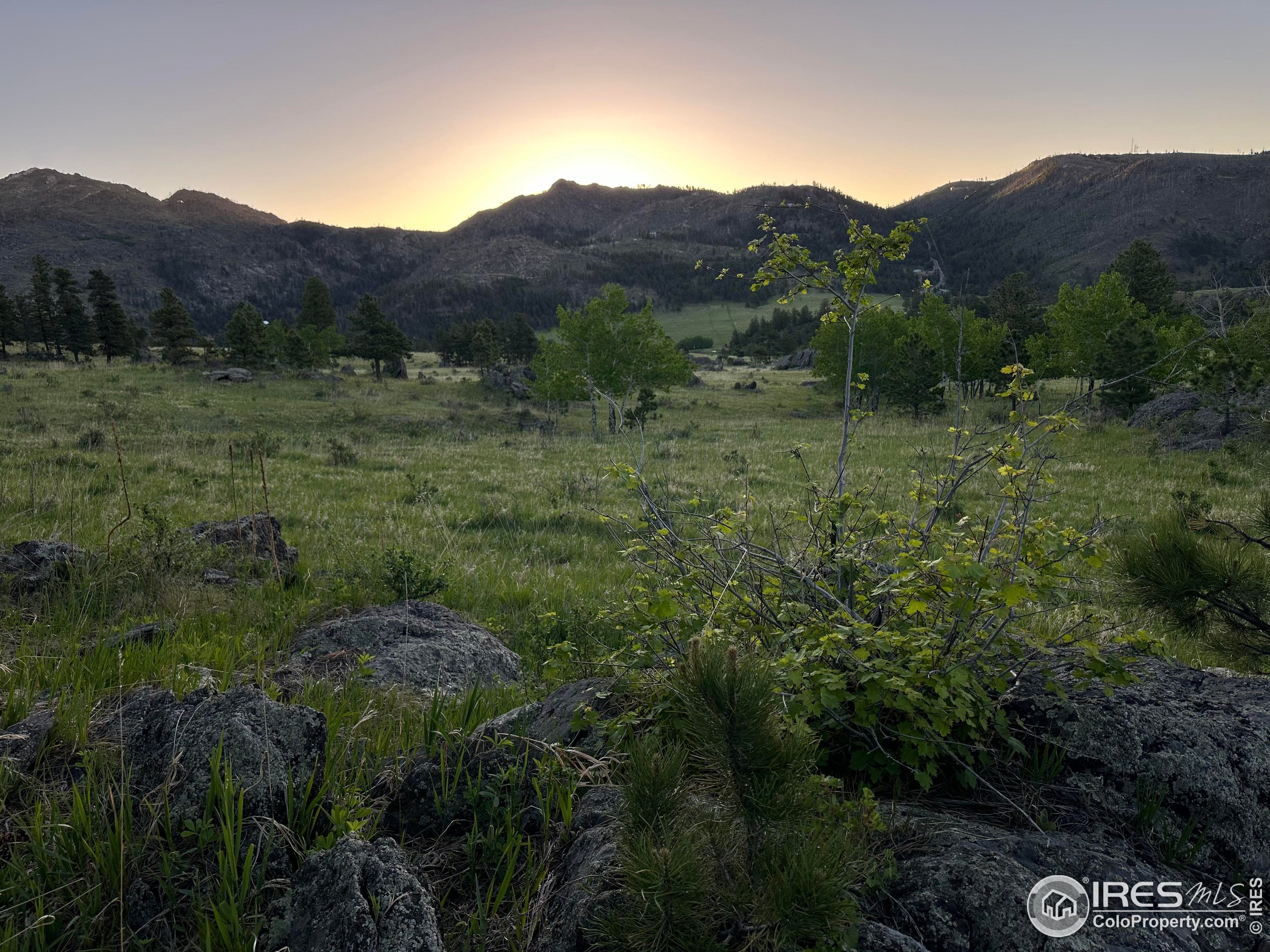 9200 Old Flowers Road Bellvue, CO 80512 - Photo 45 of 50 a view of a lush green hillside and a houses