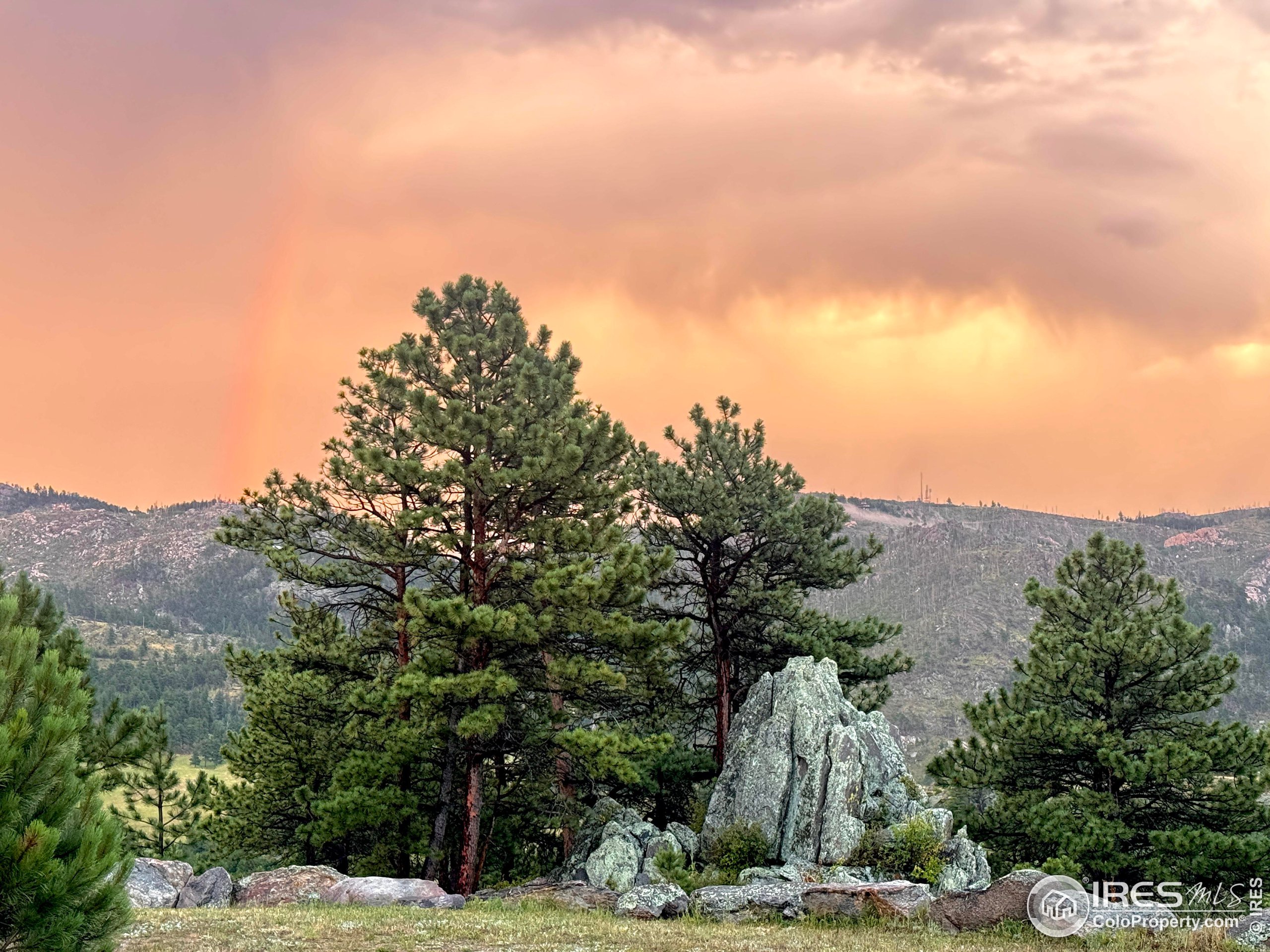 9200 Old Flowers Road Bellvue, CO 80512 - Photo 46 of 50 a view of a outdoor space