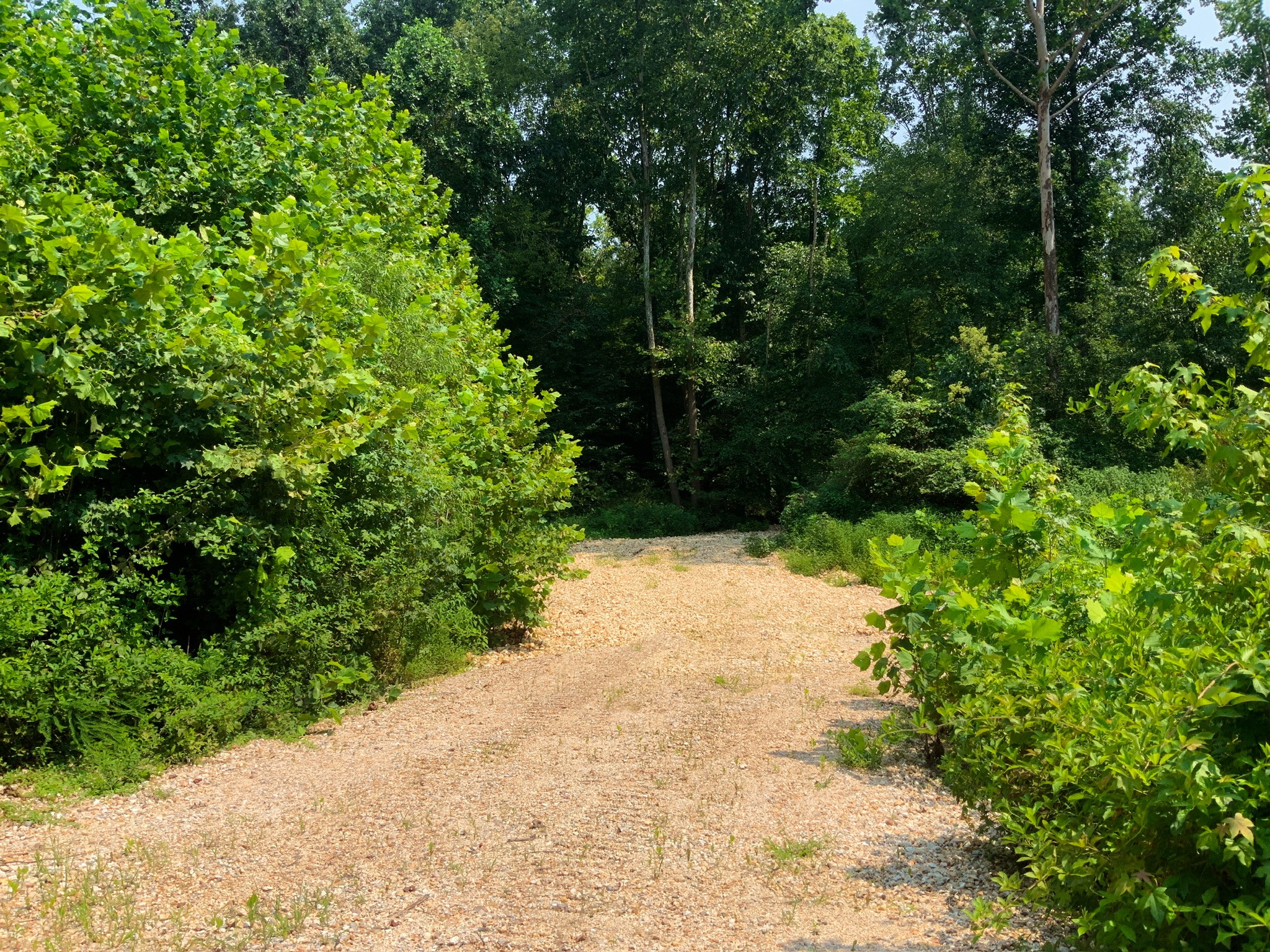 0 Copper Spring Road Springville, TN 38256 - Photo 24 of 31 Gallery Image 24