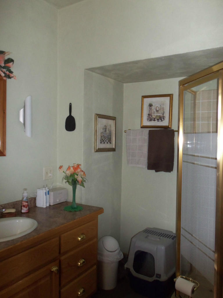 422 Cr-358 Daggett, MI 49821 - Photo 12 of 21 Additional Photo