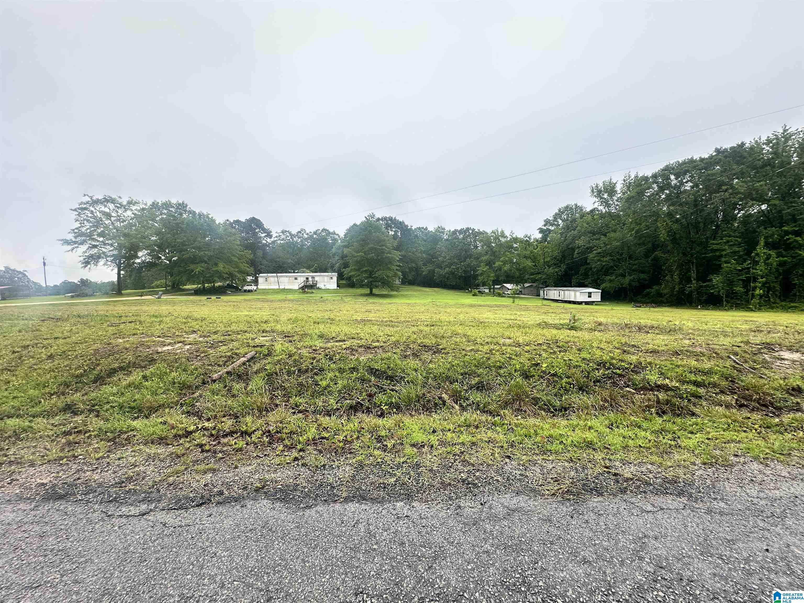 0 Ward School Road, Unit 4 Centreville, AL 35042 - Photo 1 of 3