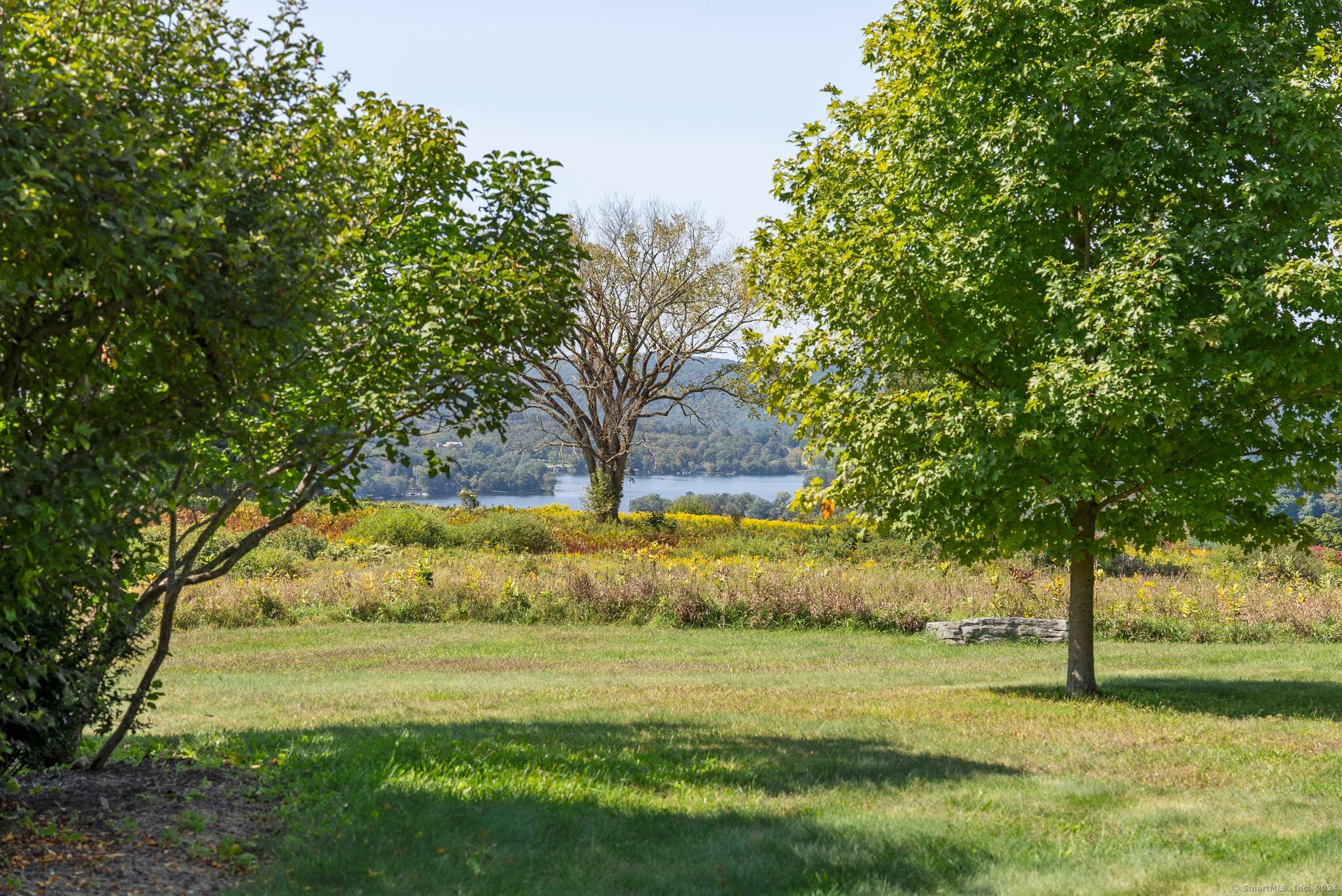 74 Tanner Hill Road Warren, CT 06777 - Photo 3 of 40 a view of a yard with an trees