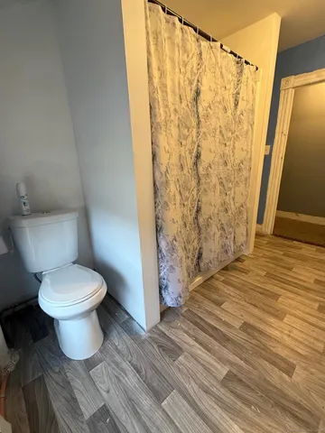 a white toilet sitting next to a shower curtain