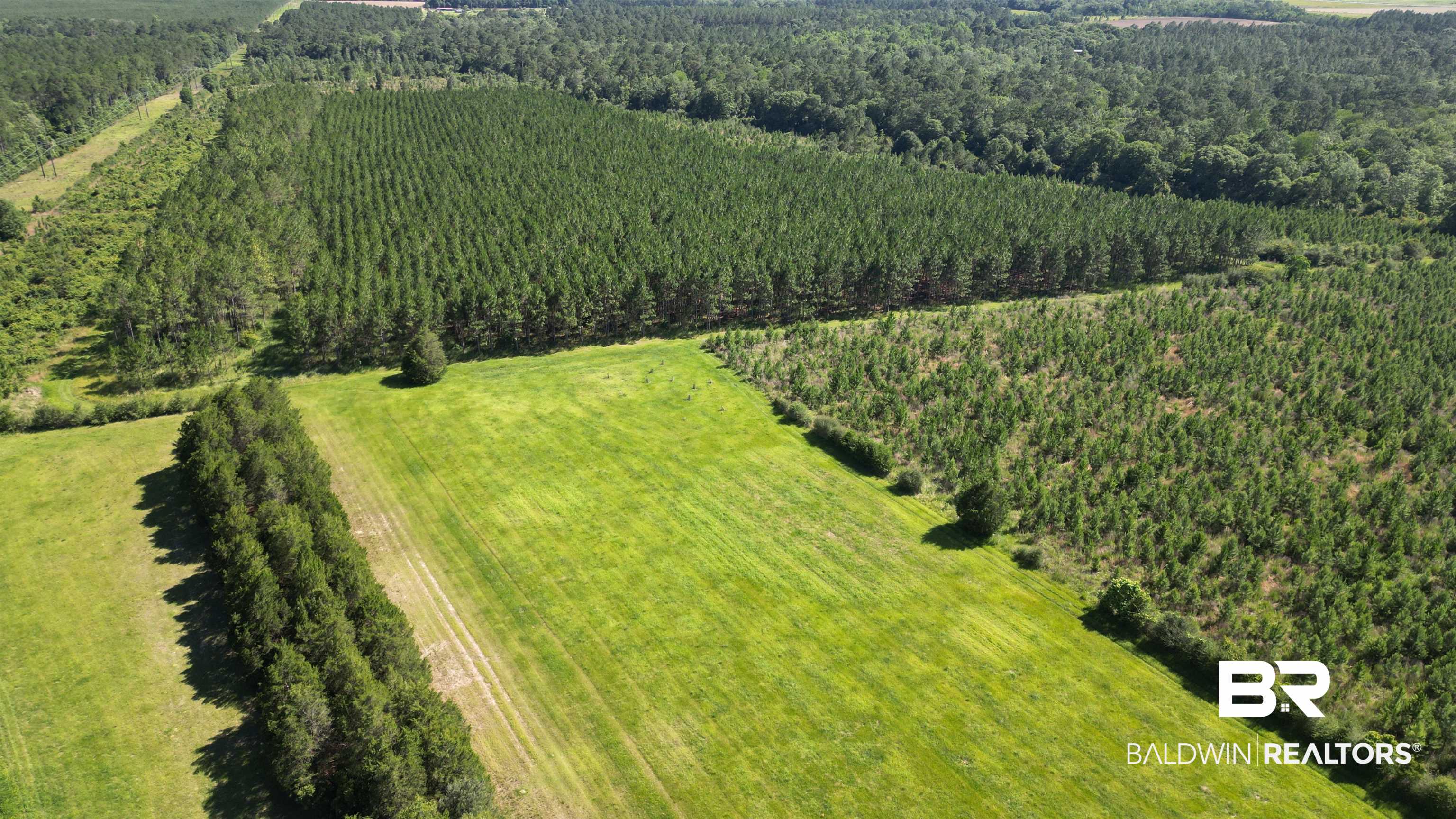 0 County Road 87 Elberta, AL 36530 - Photo 10 of 46