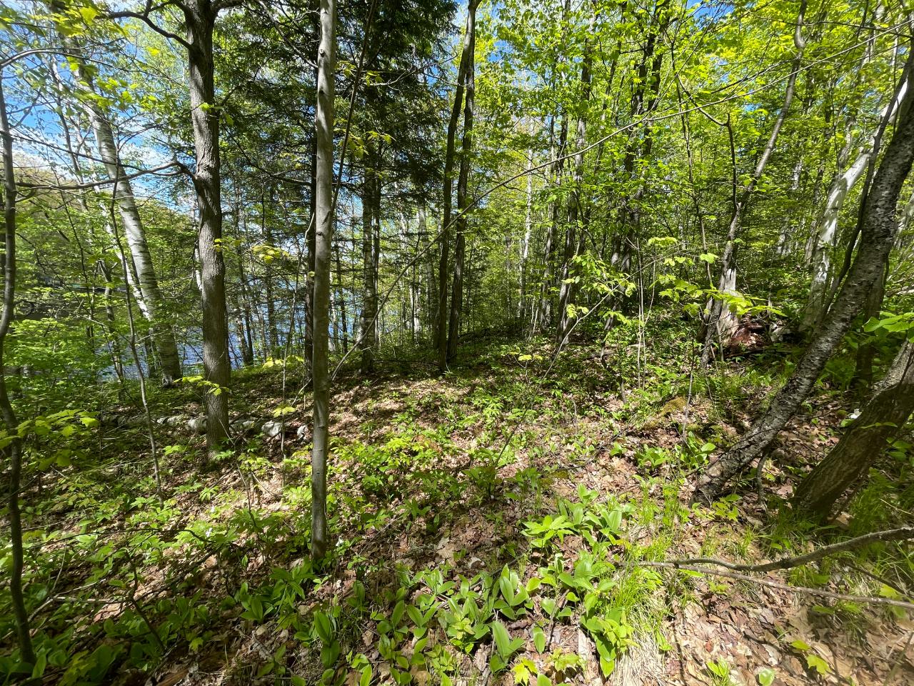 On On Shore Rd Summit Lake Summit Lake, WI 54485 - Photo 11 of 13 Gallery Image 11