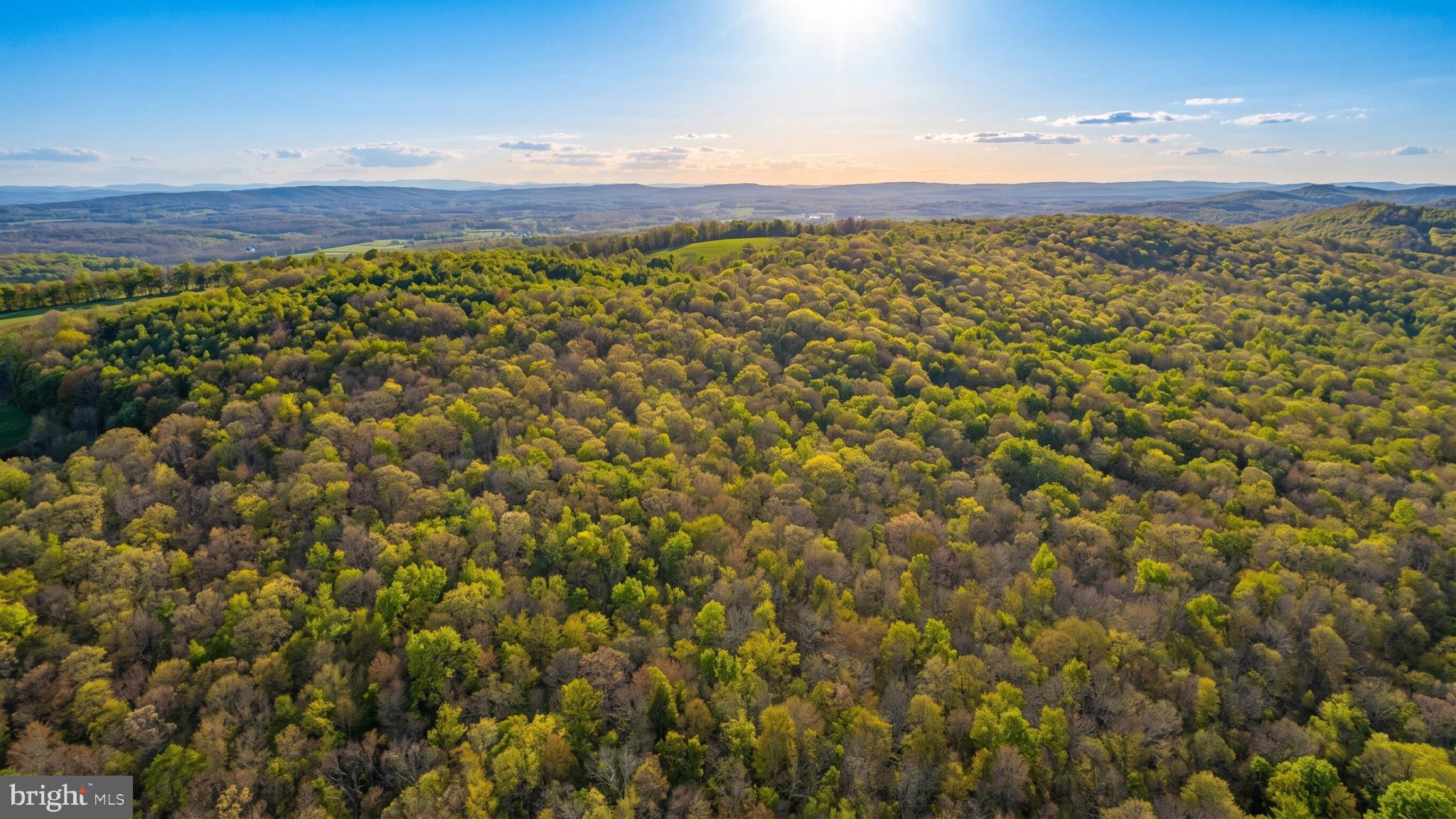 83 Bethlehem Road Oakland, MD 21550 - Photo 30 of 43 a view of a city with lush green forest