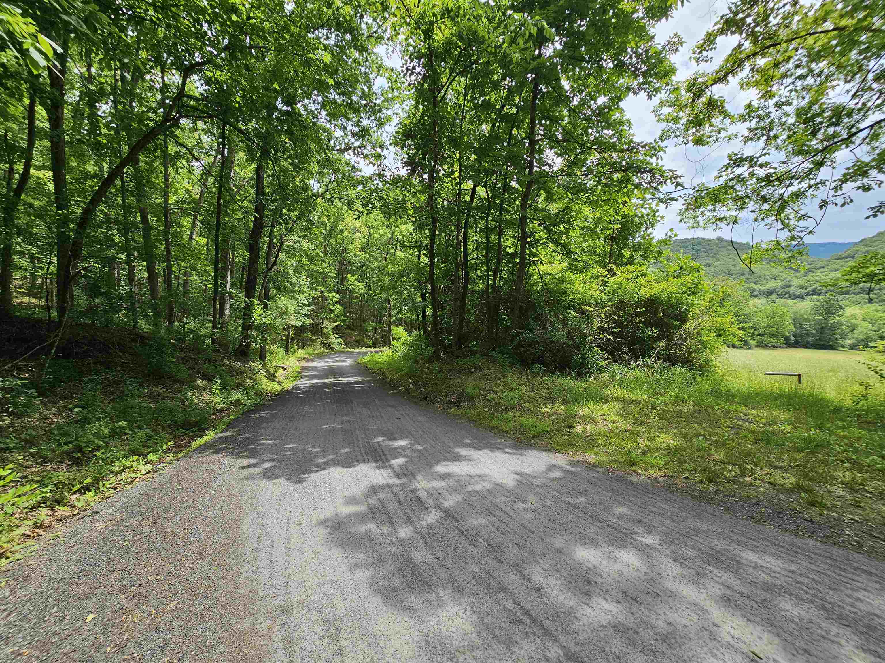 2105 Coles Mountain Road Covington, VA 24426 - Photo 43 of 66