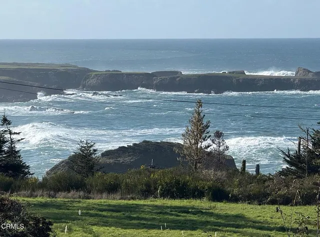 a view of a lake from a yard