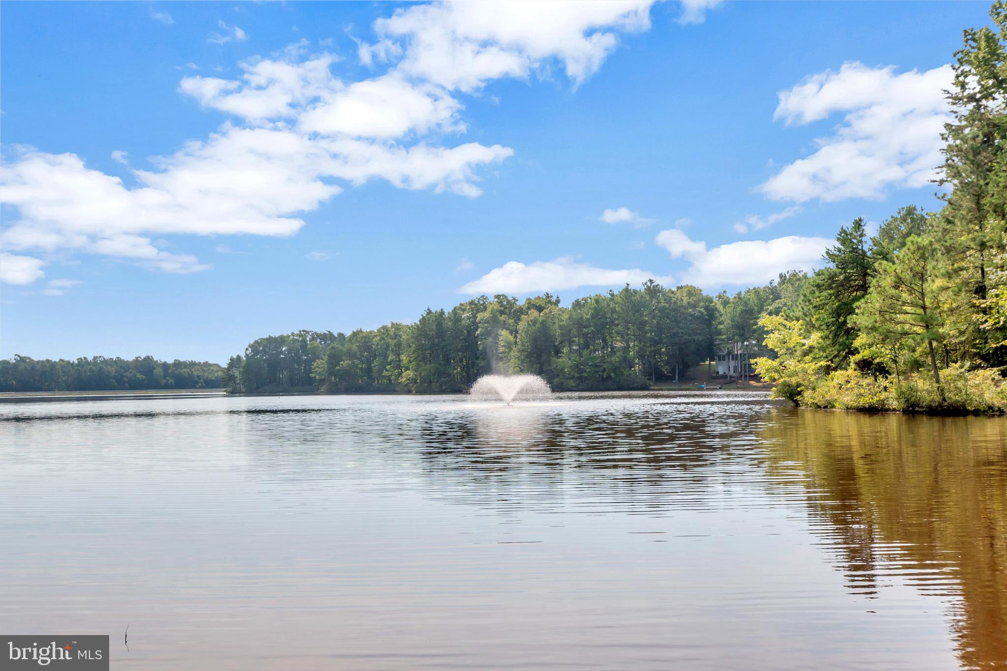 633 Welsh Drive Ruther Glen, VA 22546 - Photo 60 of 71 Lake with fountain view