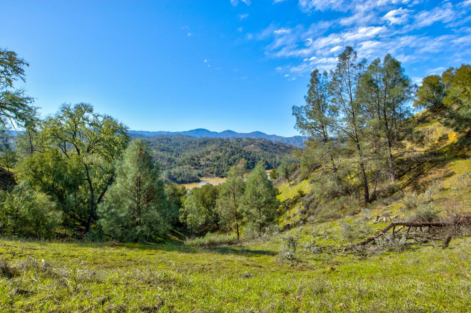 0 Lynch Canyon Road Bradley, CA 93426 - Photo 18 of 83 a view of a field with an trees
