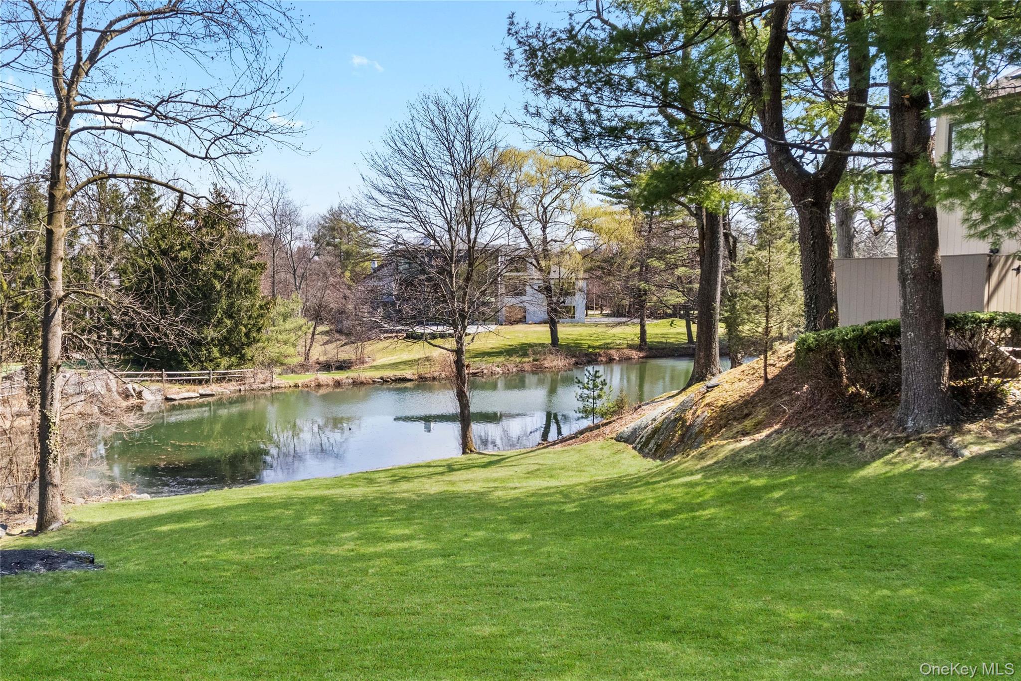 3 Lakeside Drive Rye, NY 10580 - Photo 24 of 31 a view of a park with large trees