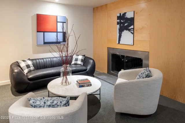 $50,000 | 506 West Hallam Street, Aspen, CO 81611