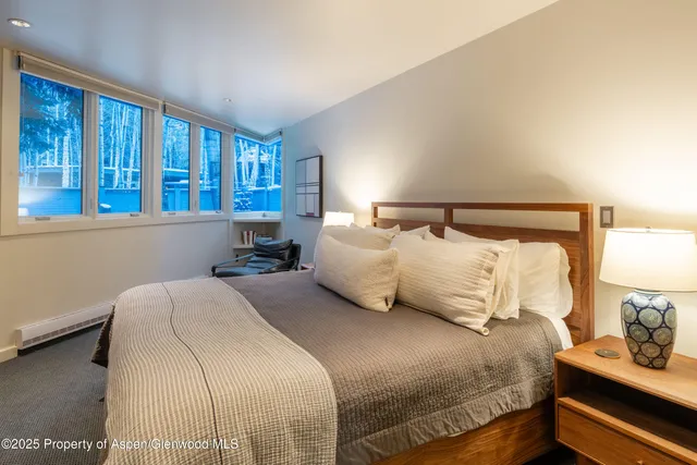 $50,000 | 506 West Hallam Street, Aspen, CO 81611