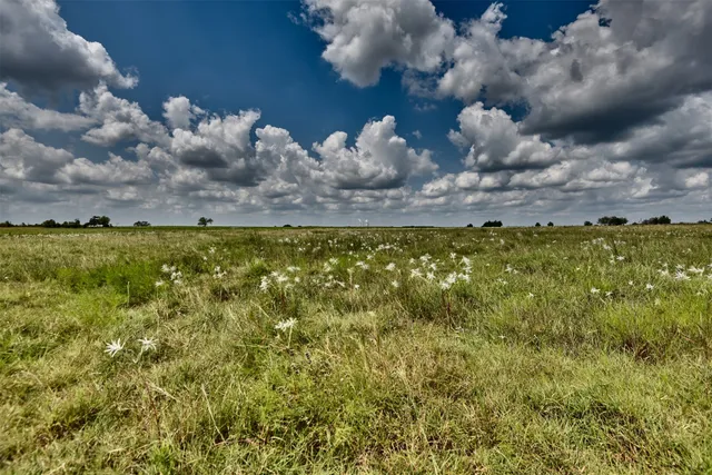 $425,000 | 0 Fm 955, Fayetteville, TX 78940