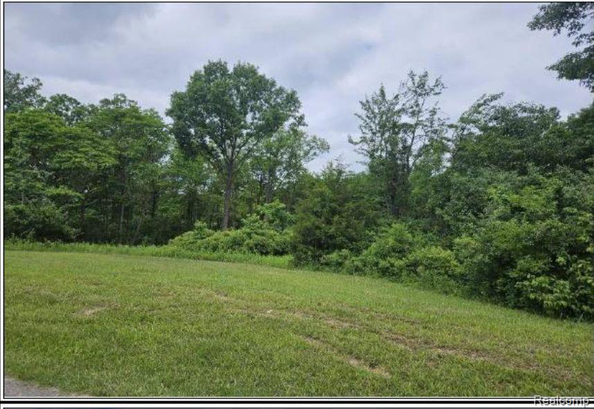 Vacant Colf Road Carleton, MI 48117 - Photo 3 of 5