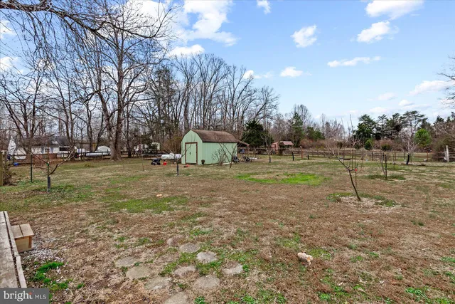 a view of a backyard with plants
