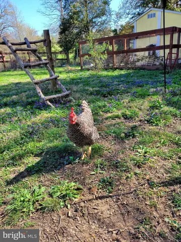 a kitchen with a stove a refrigerator and a stove top oven