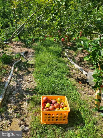 a workspace with furniture and a window