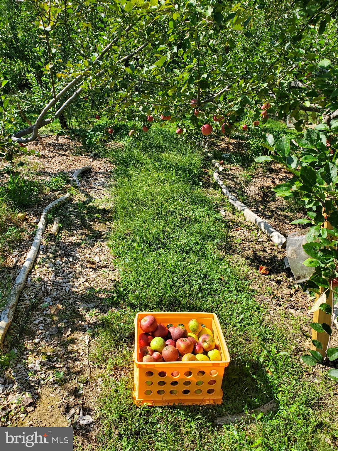 312 Timber Trail Spotsylvania, VA 22551 - Photo 28 of 74
