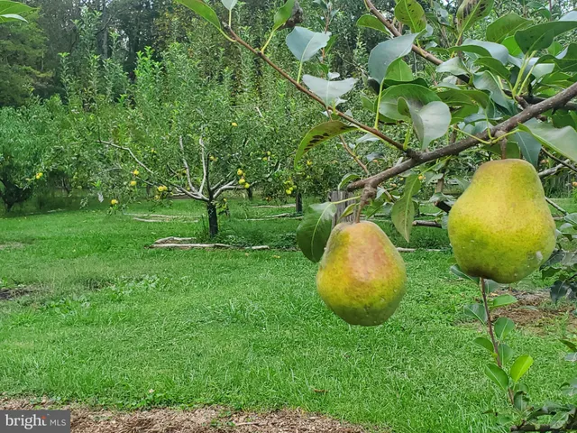 a backyard of a house with yard table and chairs