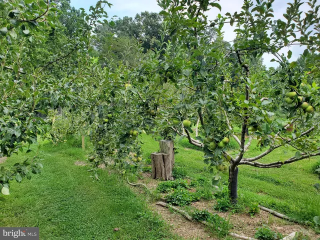 $359,000 | 312 Timber Trail, Spotsylvania, VA 22551