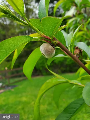 $359,000 | 312 Timber Trail, Spotsylvania, VA 22551