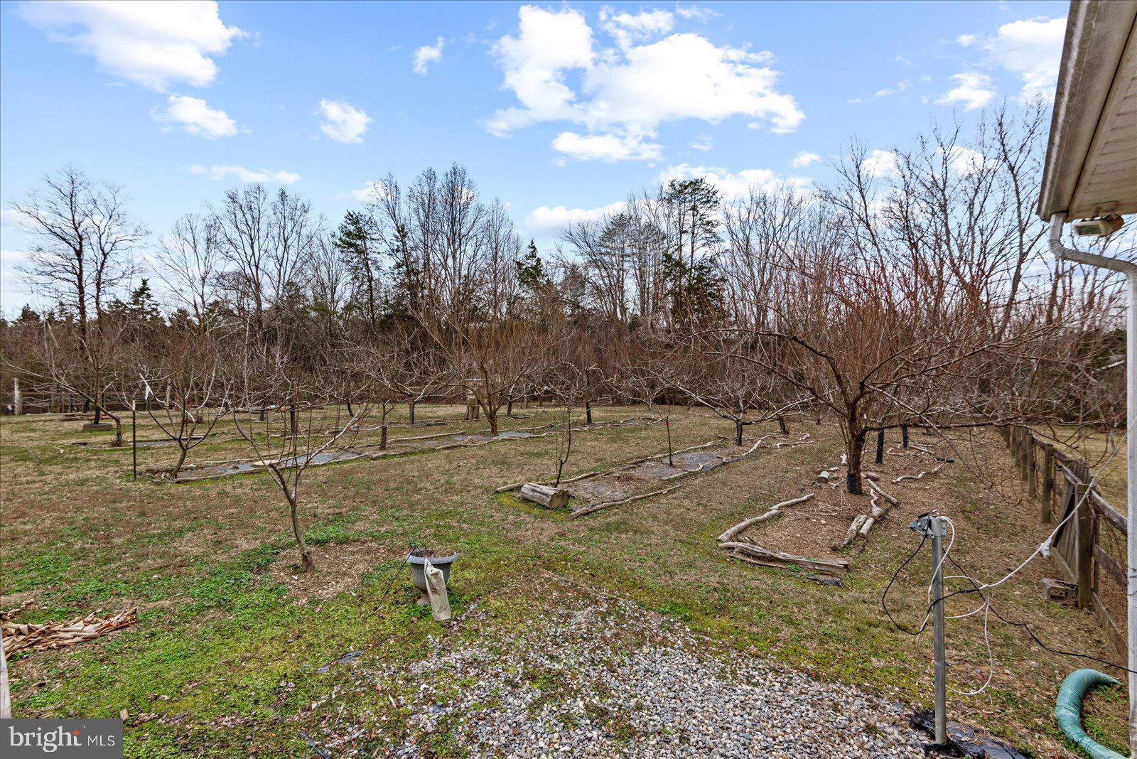 312 Timber Trail Spotsylvania, VA 22551 - Photo 58 of 74 a backyard of a house with lots of green space