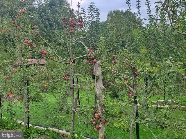 $359,000 | 312 Timber Trail, Spotsylvania, VA 22551