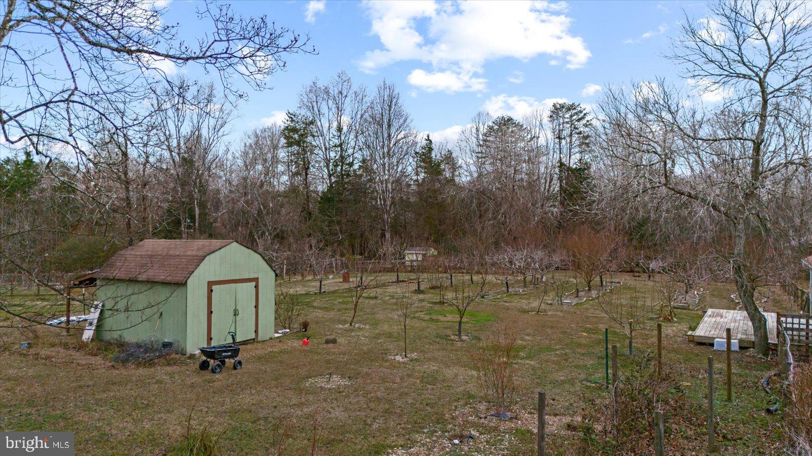 312 Timber Trail Spotsylvania, VA 22551 - Photo 62 of 74 a view of outdoor space and yard