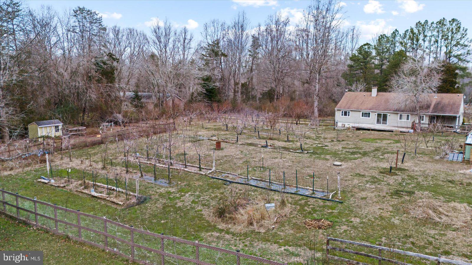 312 Timber Trail Spotsylvania, VA 22551 - Photo 71 of 74 a backyard of a house with lots of green space and trees