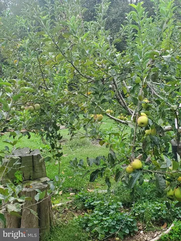 $359,000 | 312 Timber Trail, Spotsylvania, VA 22551