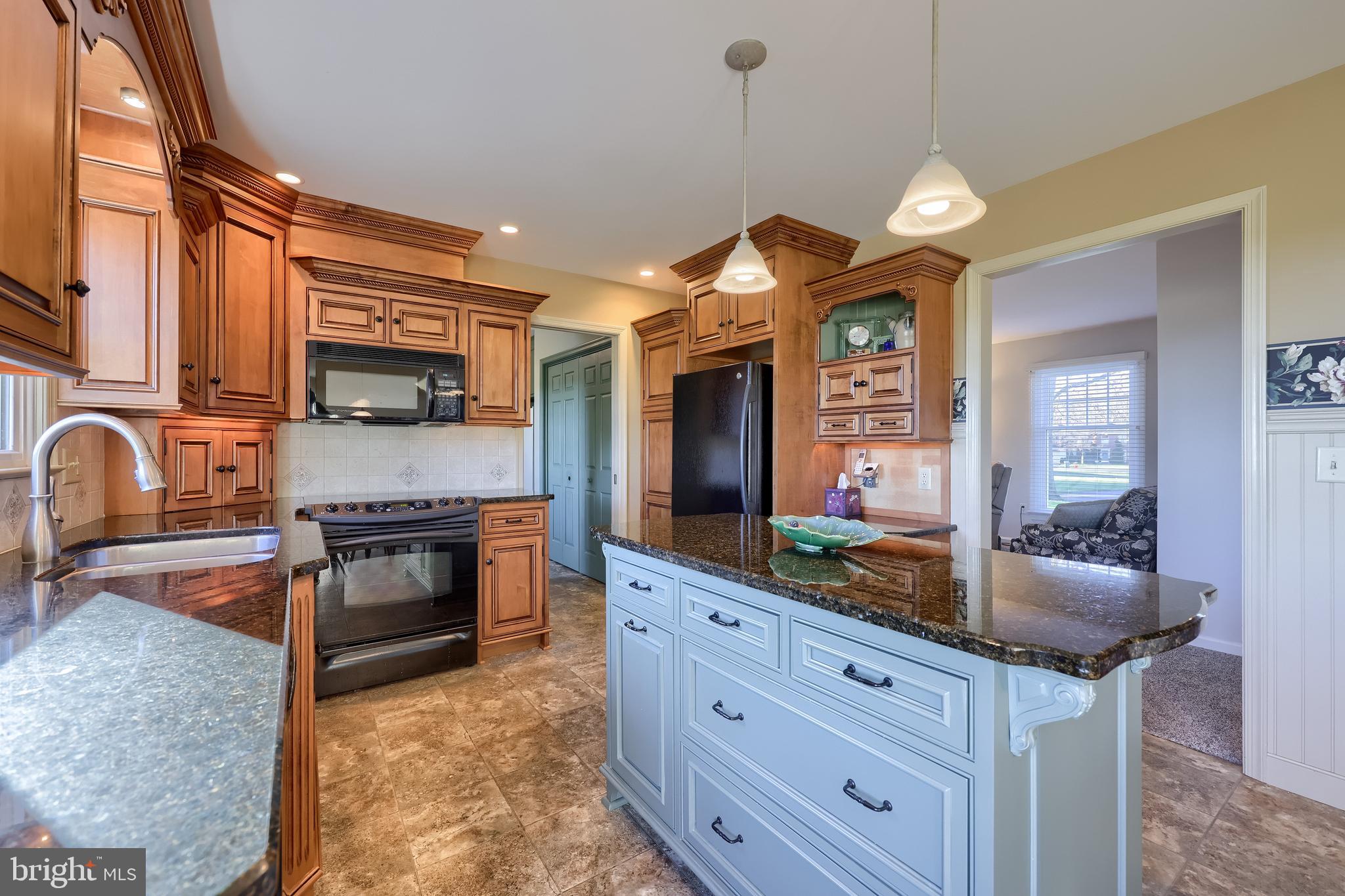2 Mill Ridge Court Lancaster, PA 17601 - Photo 24 of 79 a kitchen with stainless steel appliances granite countertop a stove and a sink